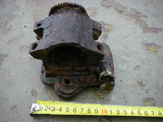 IMGP5518.JPG