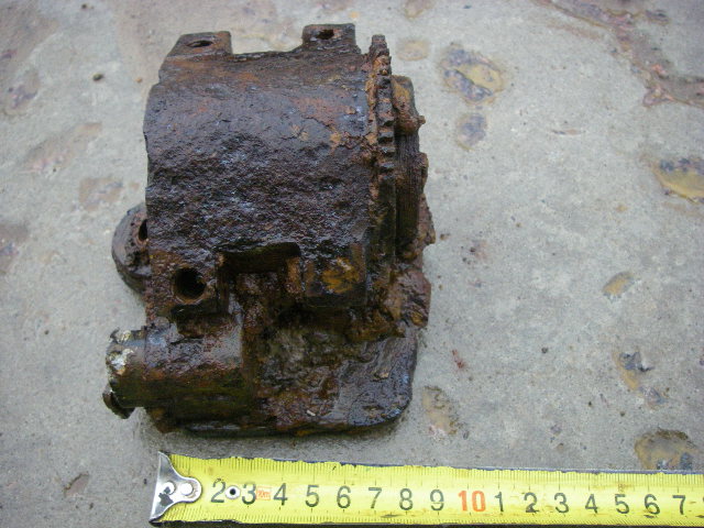 IMGP5519.JPG