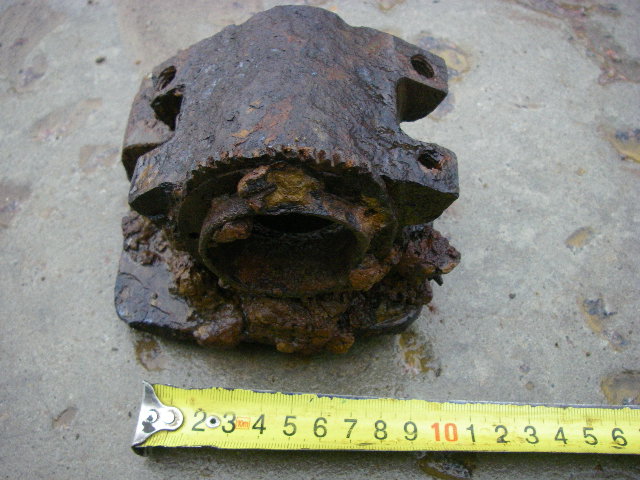 IMGP5520.JPG