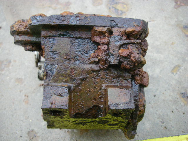 IMGP5521.JPG