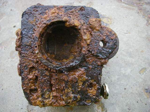 IMGP5522.JPG