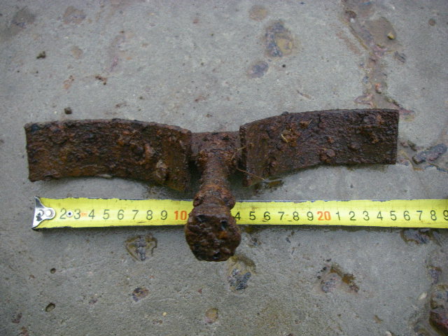 IMGP5524.JPG