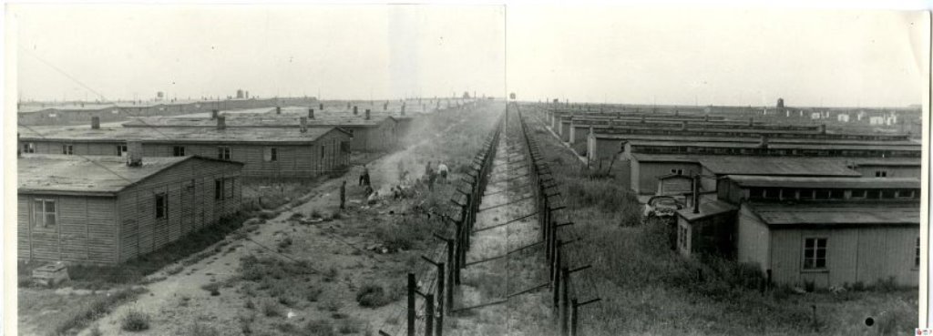 6073643.jpg