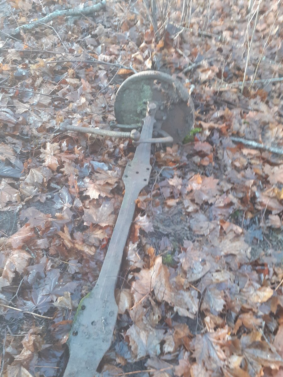 20191118_115022.jpg