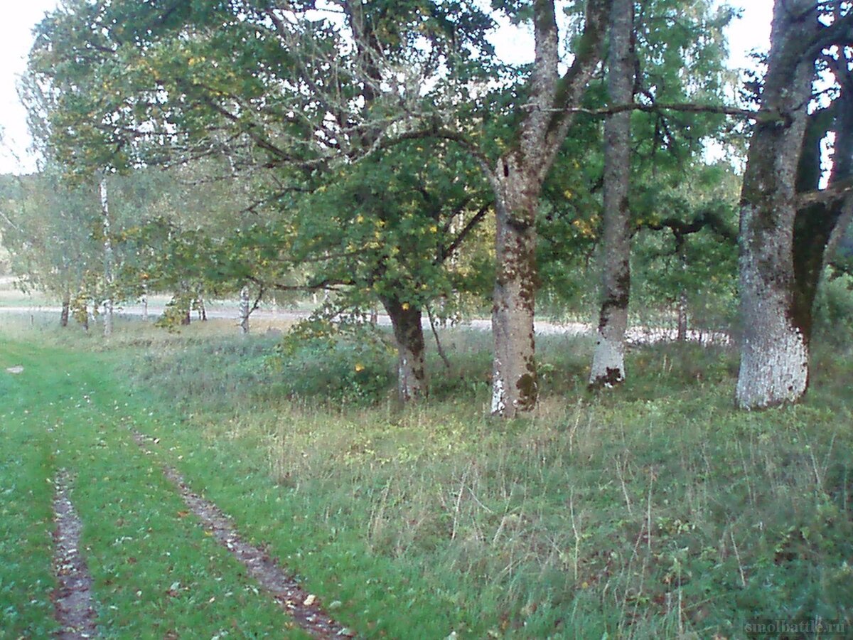 753_171.jpg
