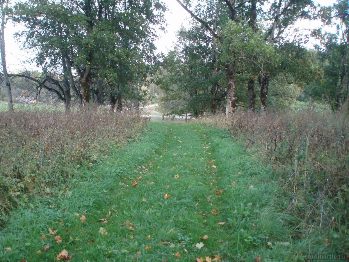 753_172.jpg