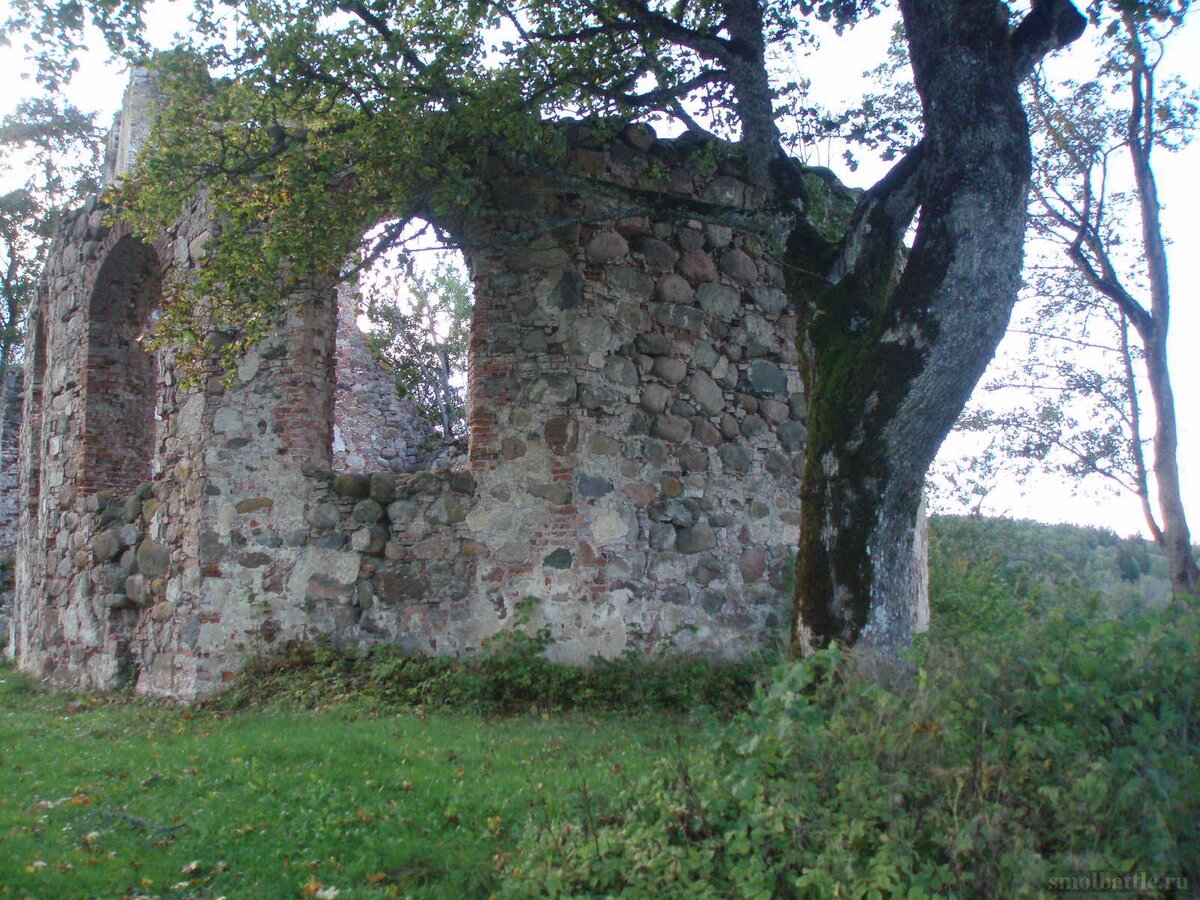 753_173.jpg