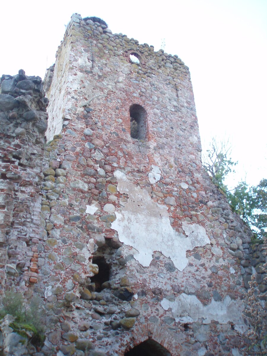 753_177.jpg