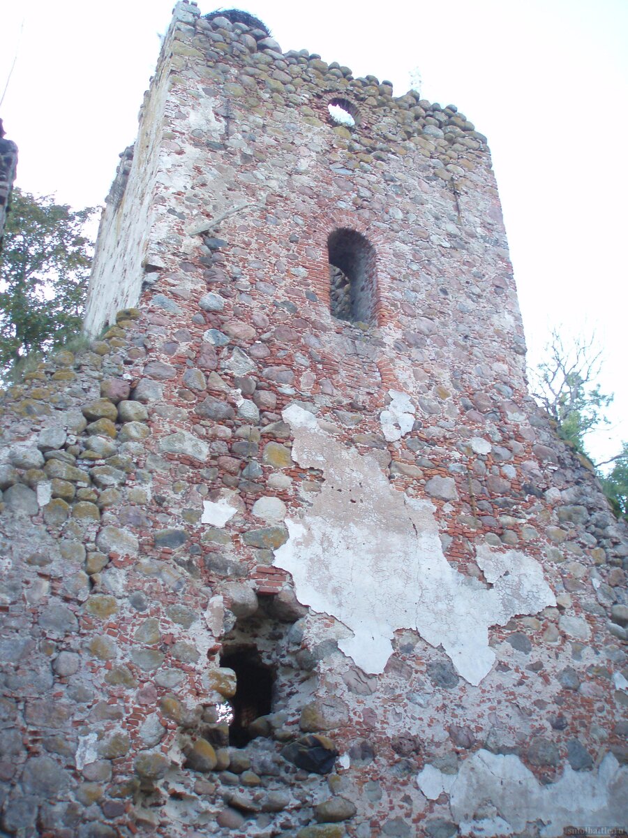 753_178.jpg