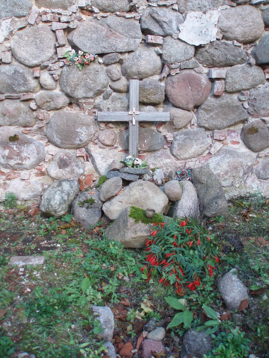 753_179.jpg