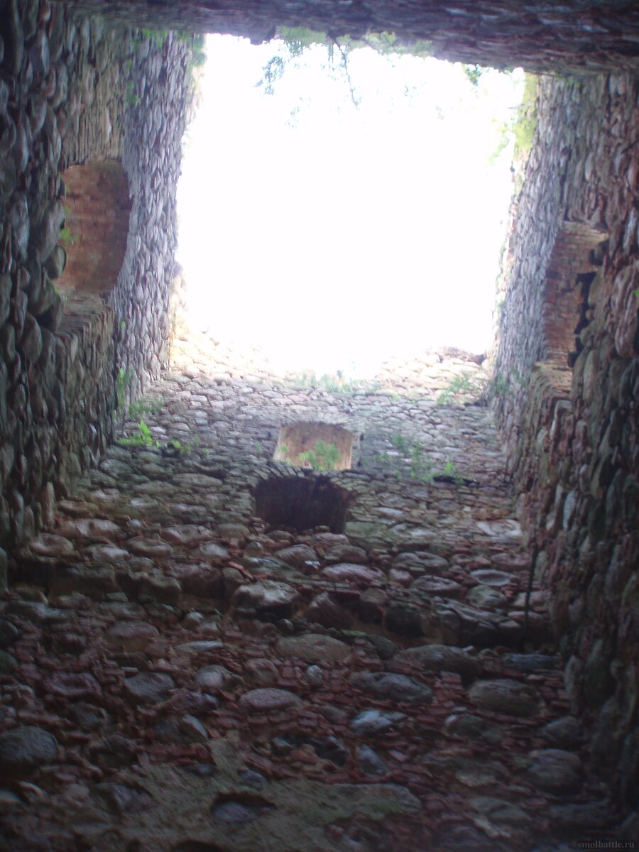 753_185.jpg