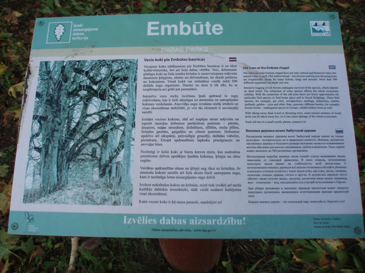 753_191.jpg