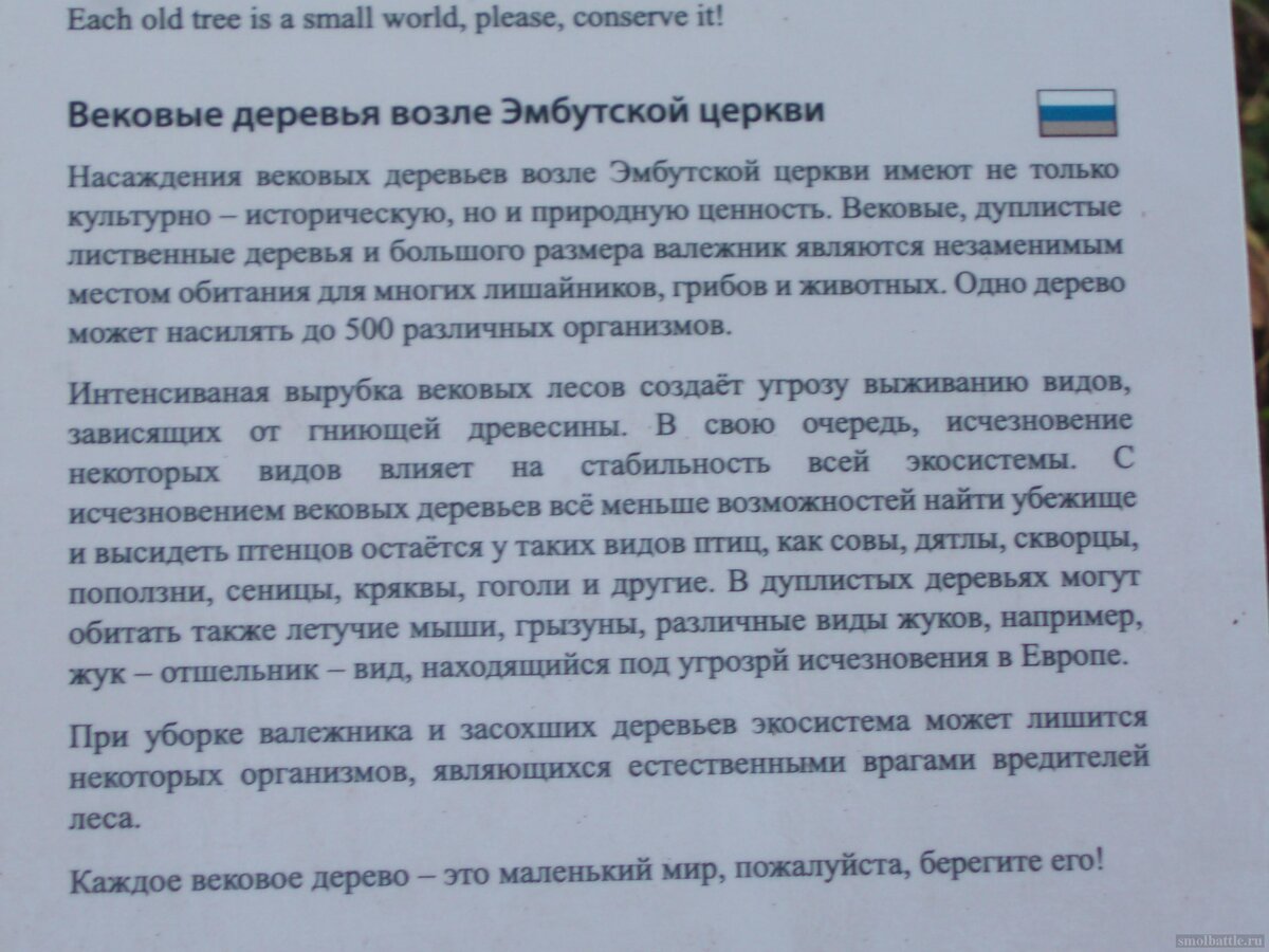 753_192.jpg