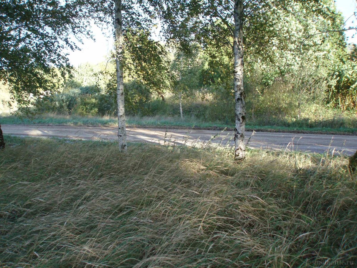 753_193.jpg
