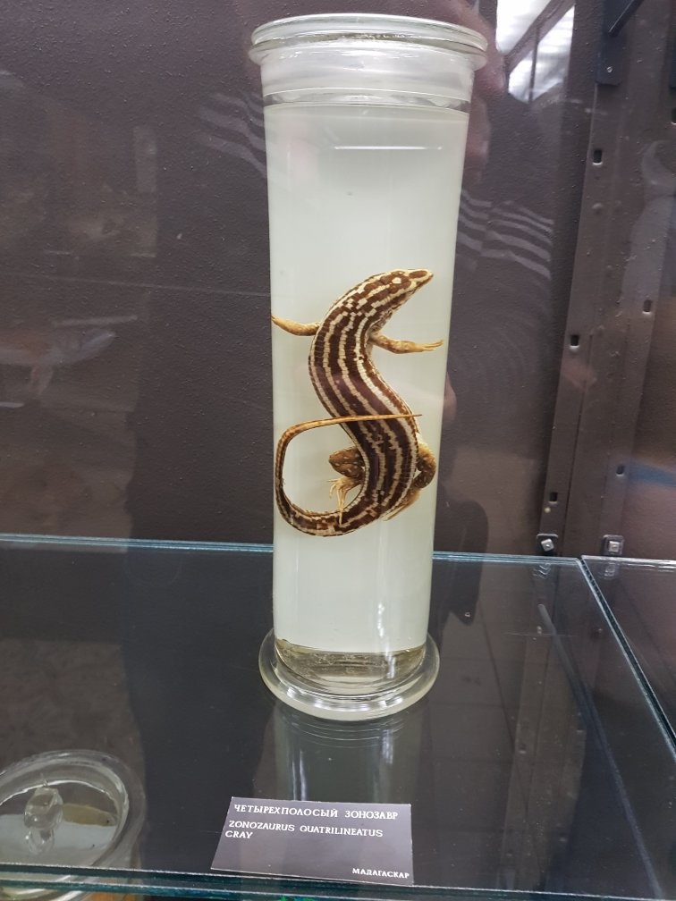 20191124_121022.jpg