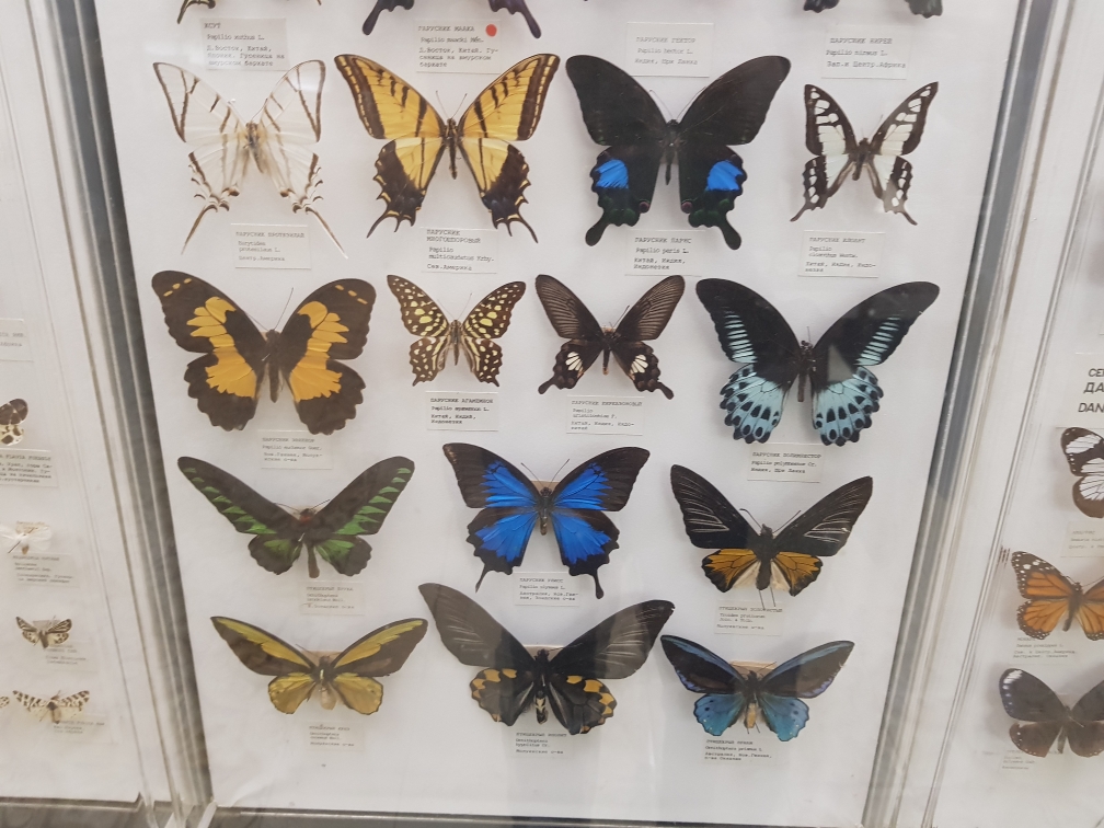 20191124_123922.jpg
