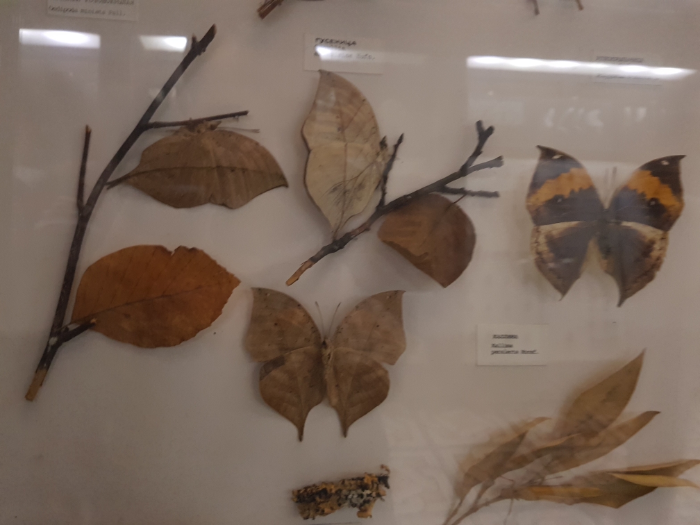20191124_124734.jpg
