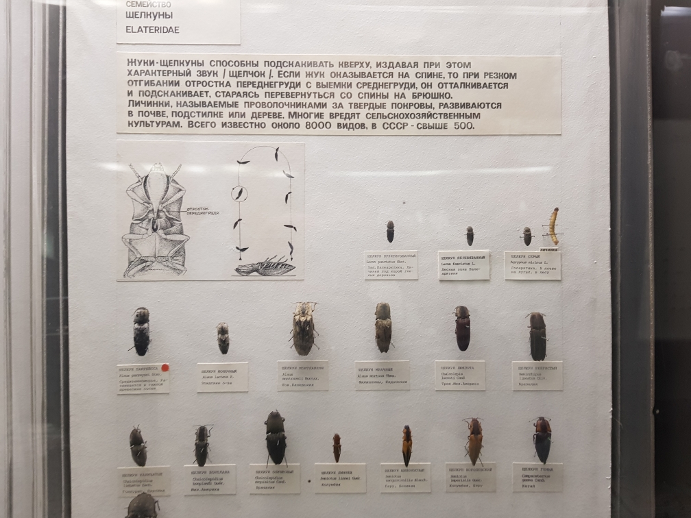 20191124_125134.jpg