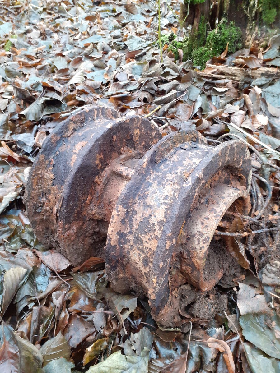 20191112_122053.jpg