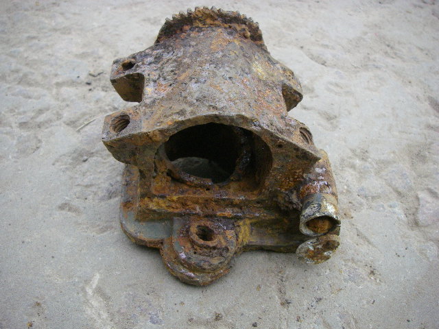 IMGP5694.JPG