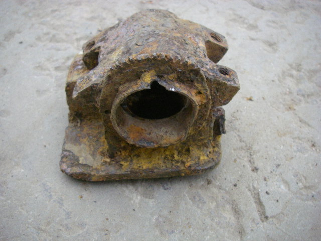 IMGP5695.JPG
