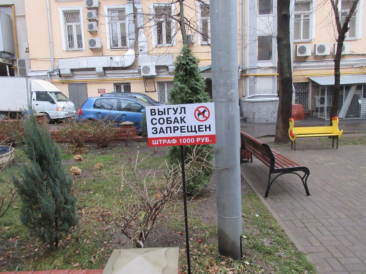 17.JPG