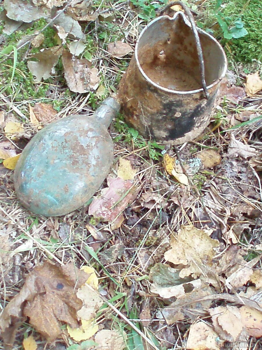 753_246.jpg