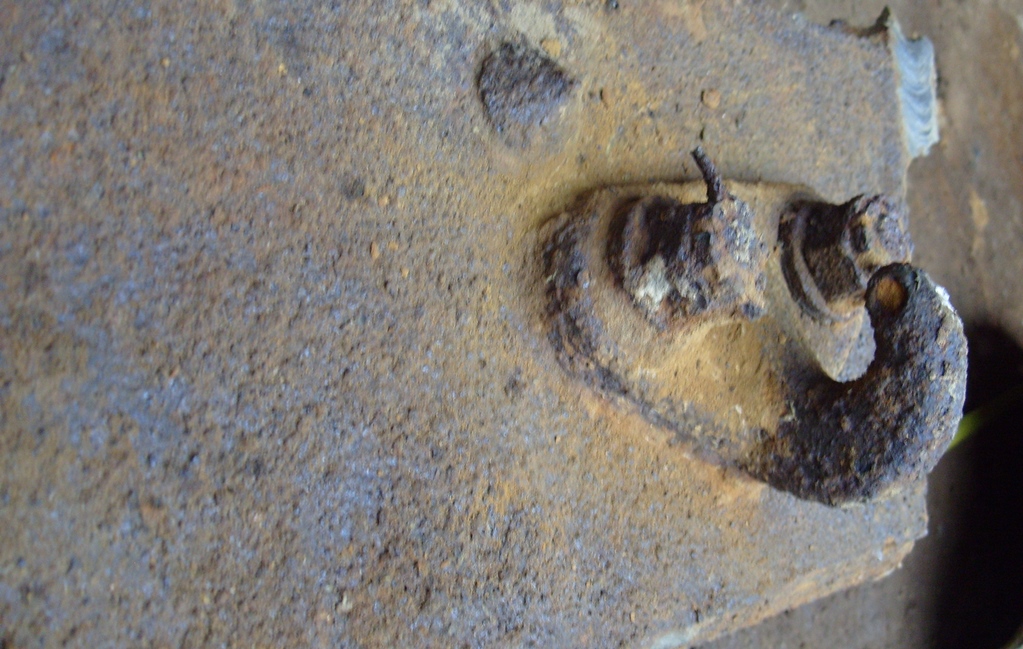 S1054005.JPG