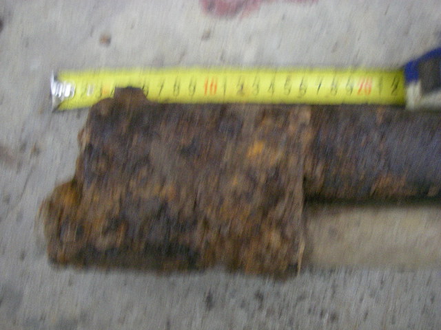 IMGP5960.JPG