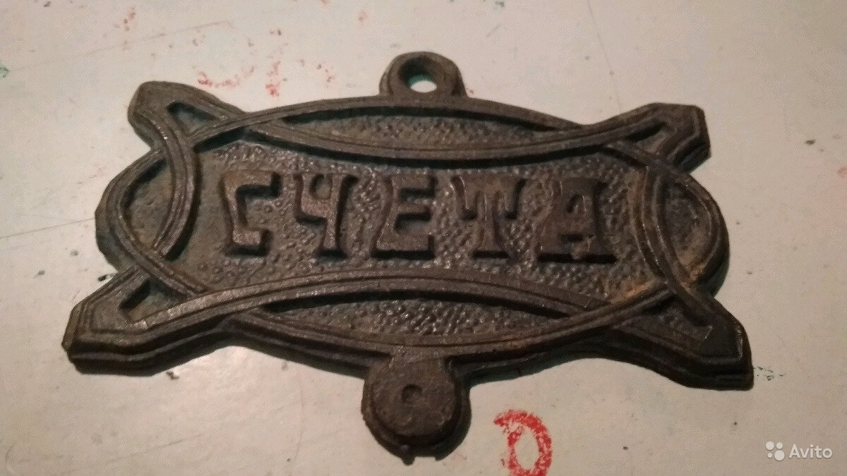 5381895361.jpg