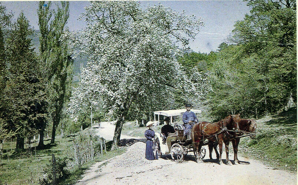 Петр Веденисов 1910 Крмская Весна.jpg