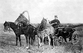 Тройка Коншиных Кучер Иван Могучих 1890 е.jpg