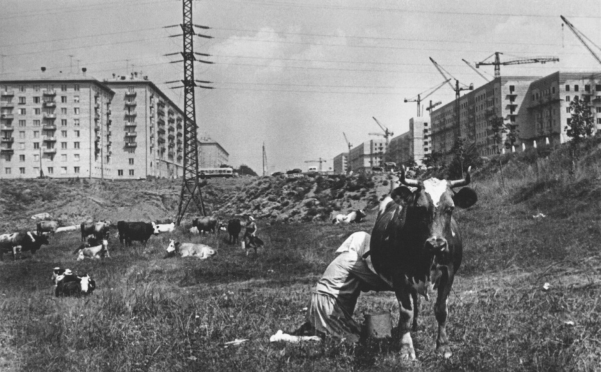 На Ленинском проспекте 1959.jpg