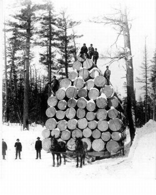 Лесорубы в 1900-х.jpg