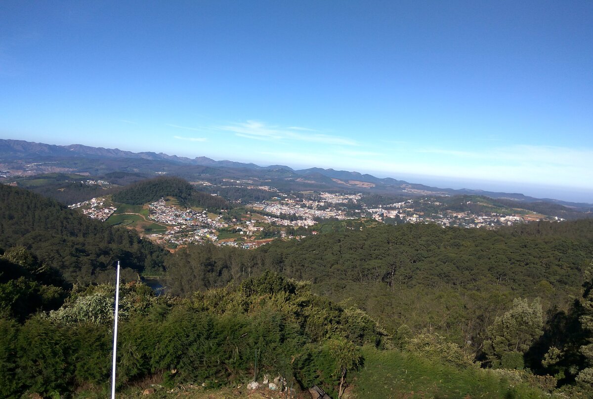 IMG_20200128_085427.jpg