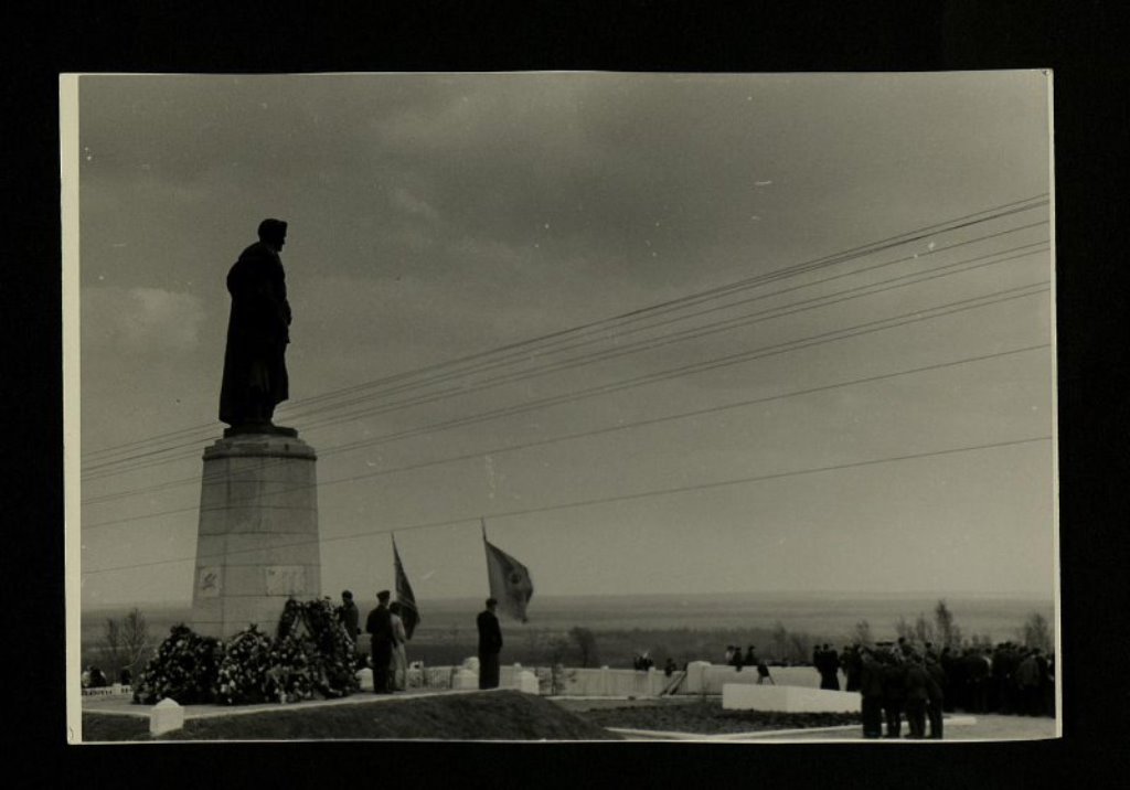 1984013.jpg