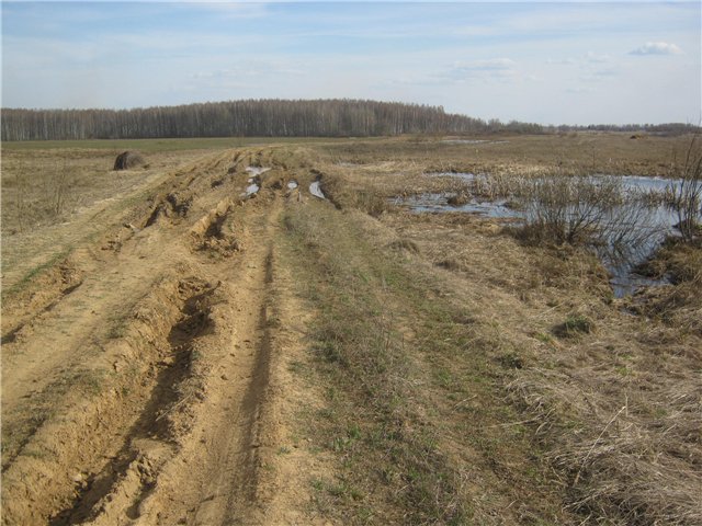 5ae2fc056267.jpg