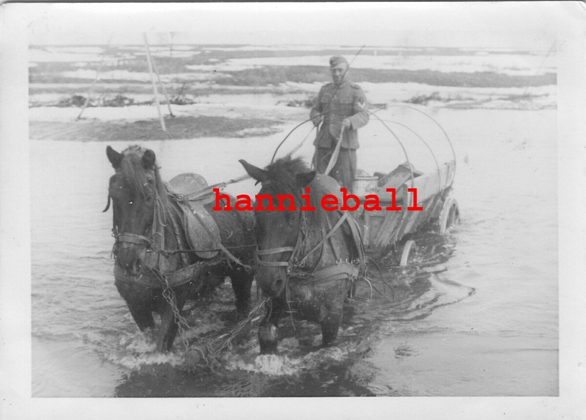 5 129.Inf.Div. Inf.Reg.427 PFERDE KUTSCHE FLUß SINYAYA GUBINKA 600.jpg