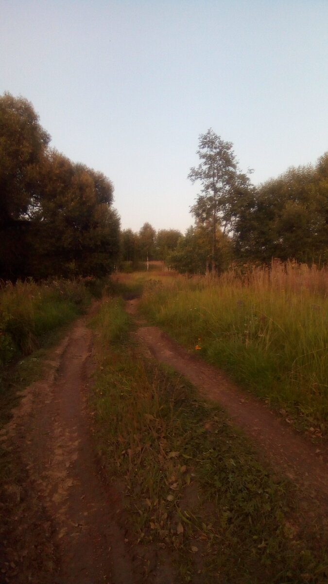 IMG_20190804_200517.jpg