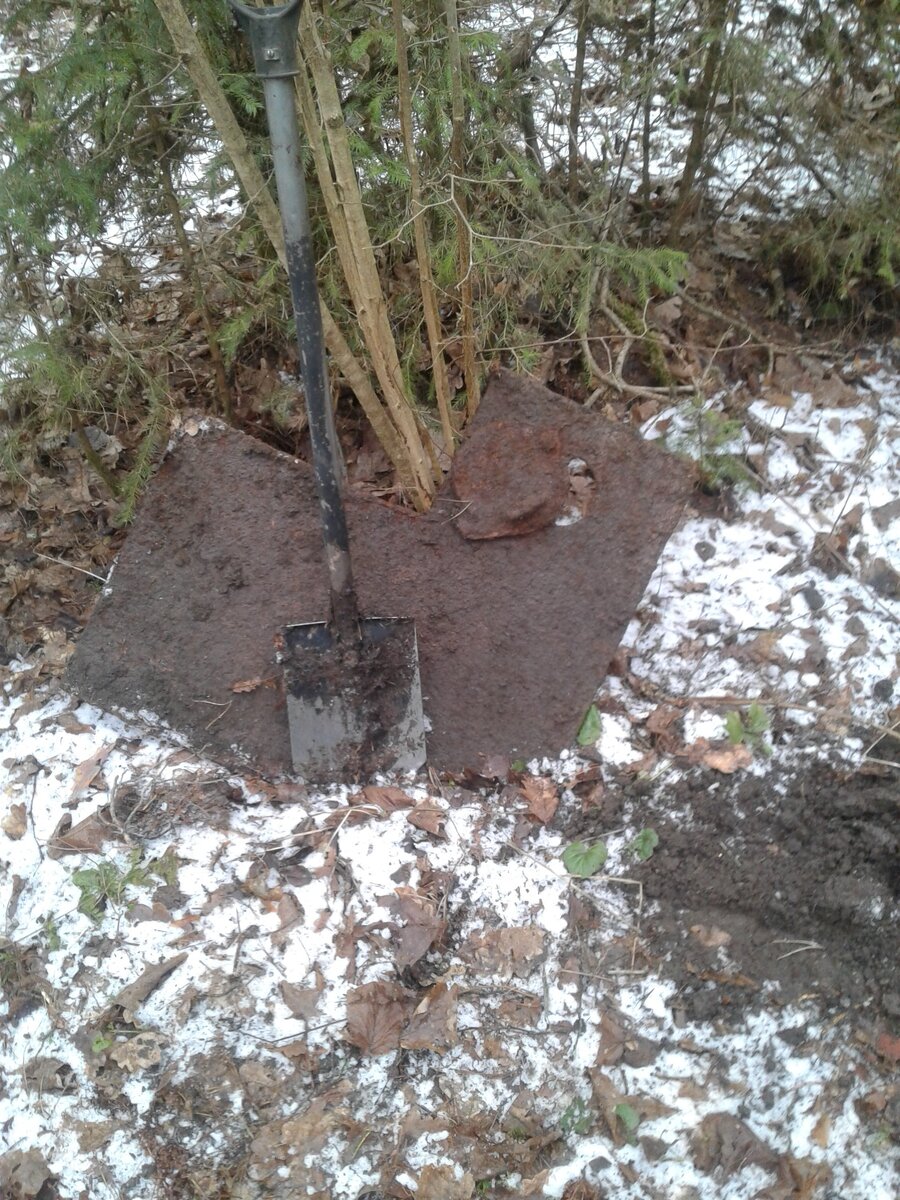 20200216_131219.jpg