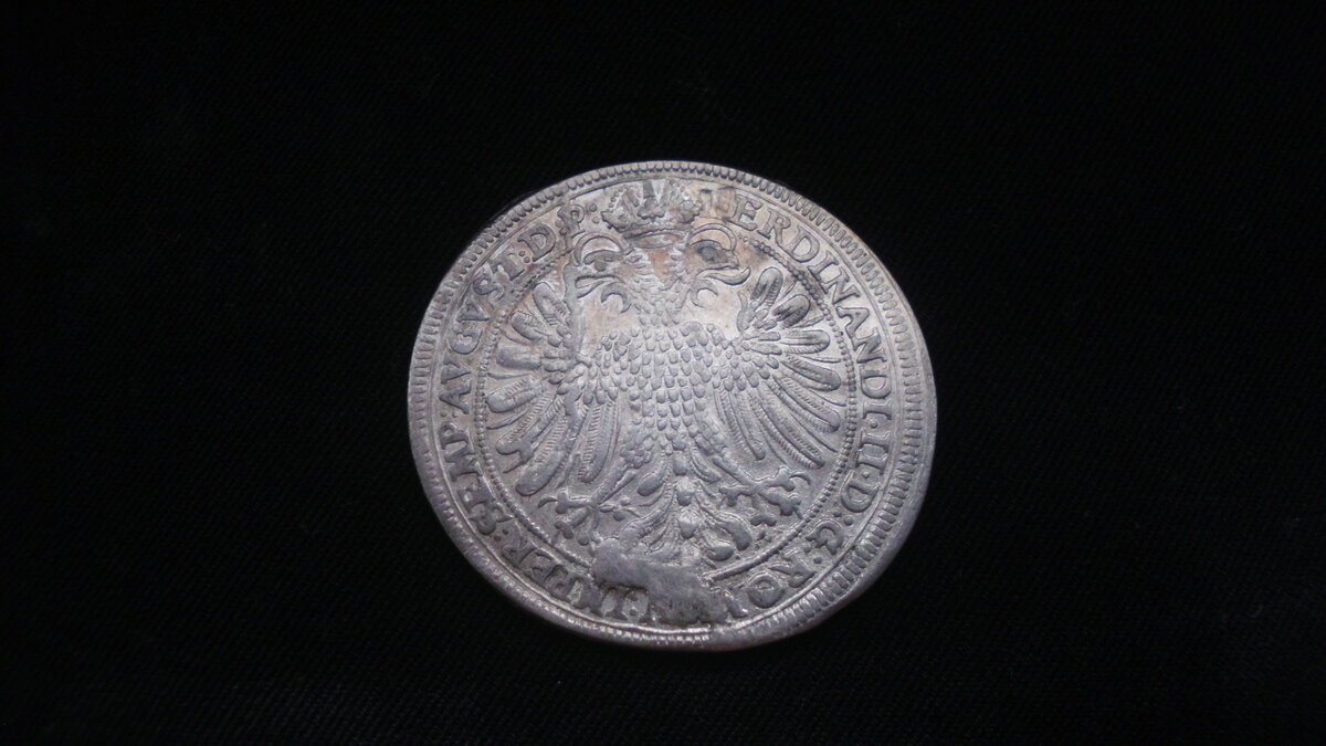 DSCI0834.JPG
