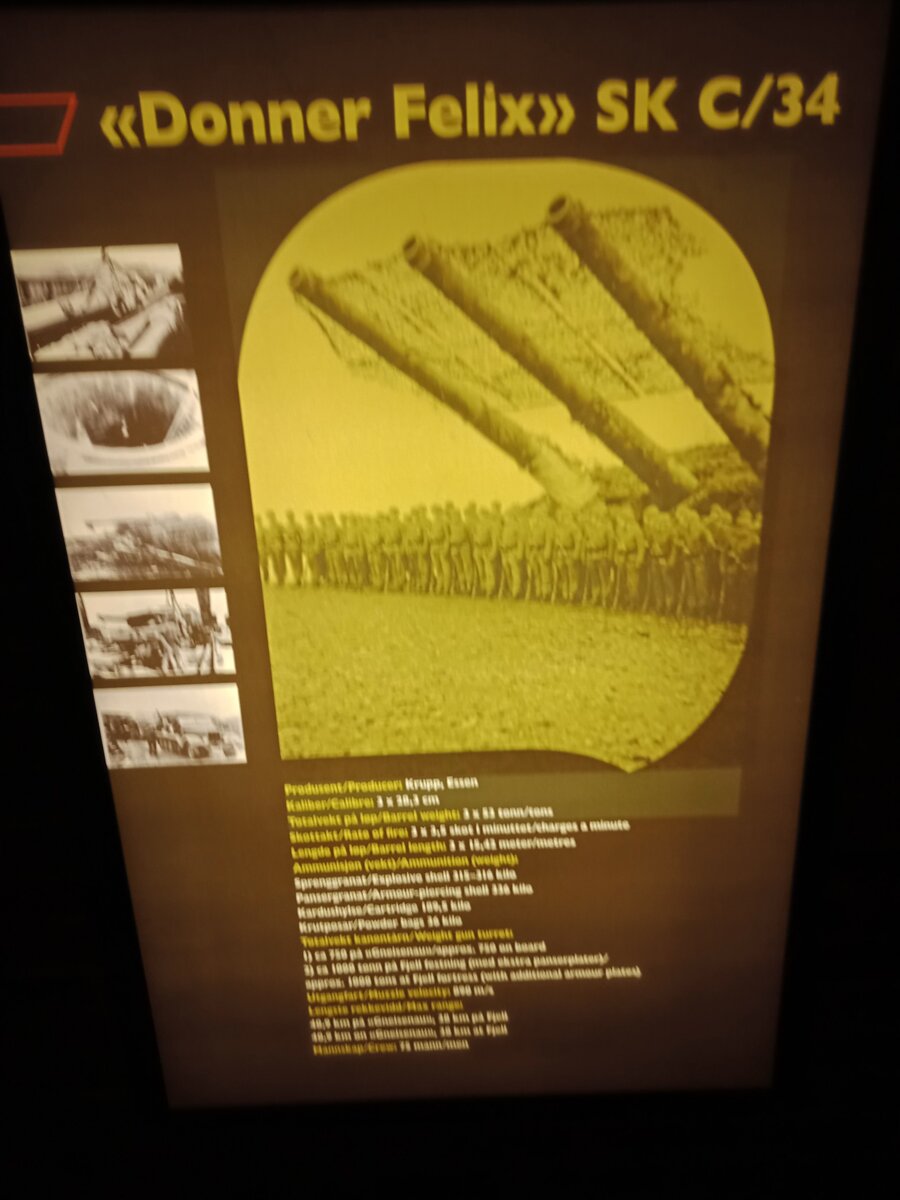 IMG20191109114917_copy_1560x2080.jpg