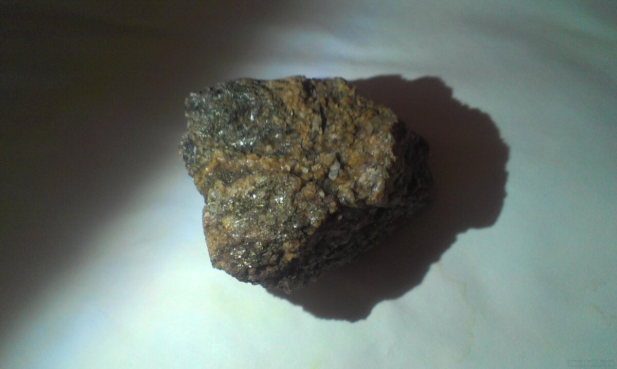IMAG0062.jpg