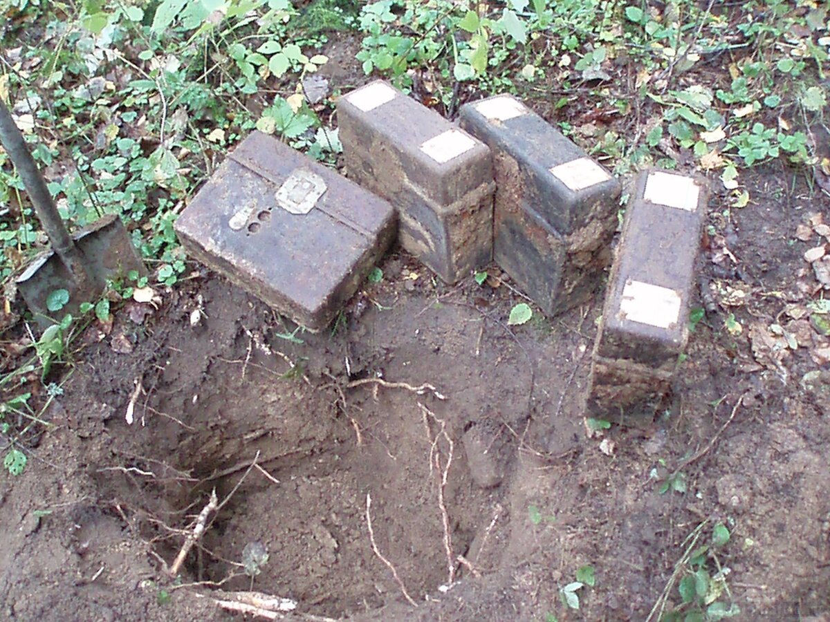 753_299.jpg