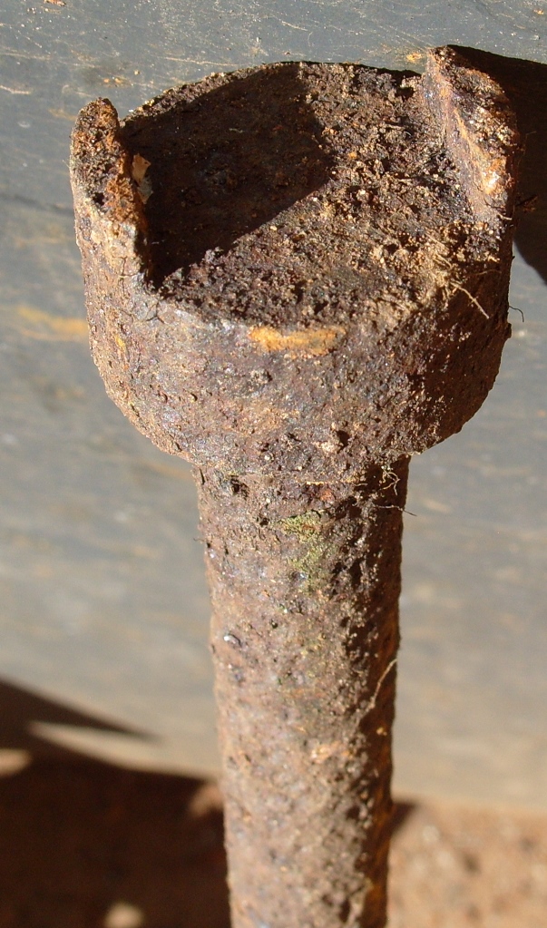 S1054585.JPG