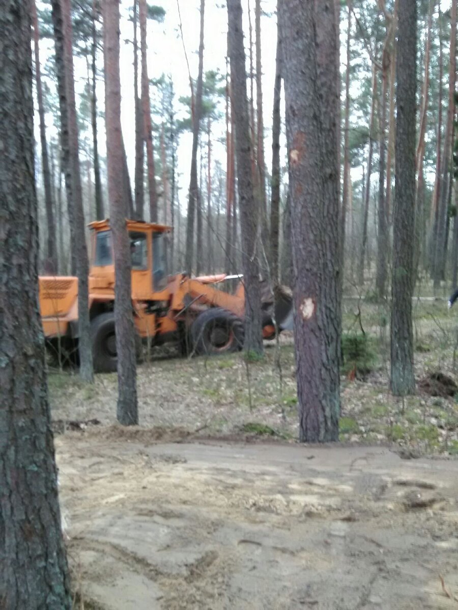 изображение_viber_2020-03-17_17-55-23.jpg
