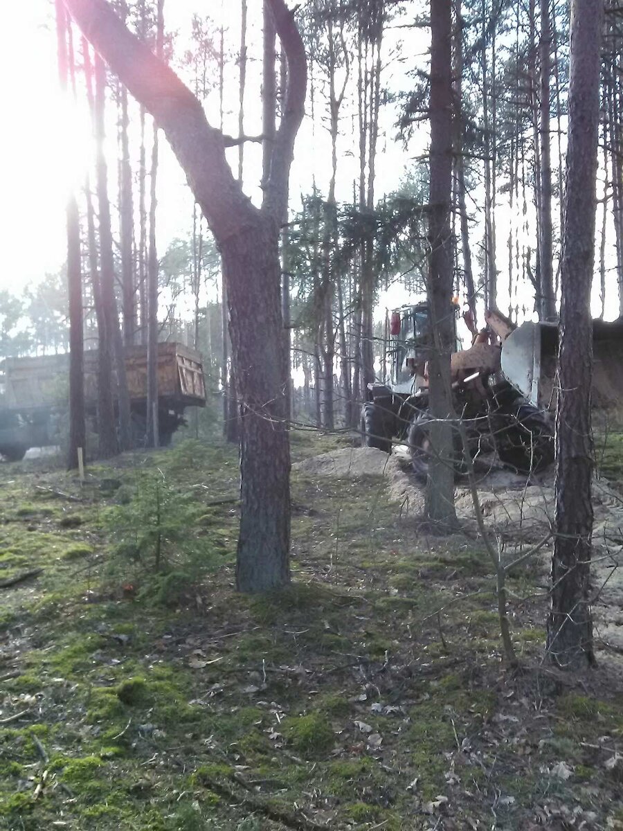 изображение_viber_2020-03-17_18-17-02.jpg