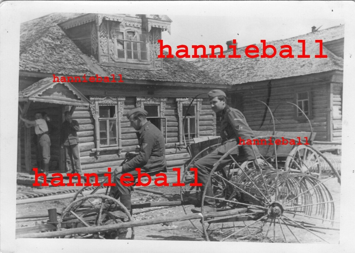 10 129.Inf.Div Inf.Reg.427 SOLDATEN AUF HEUWENDER IN GUBINKA 600.jpg