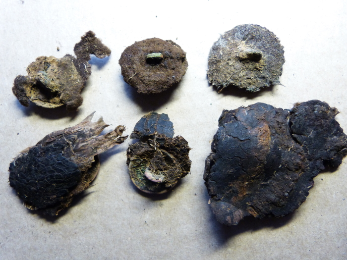 P1000550 - копия.JPG