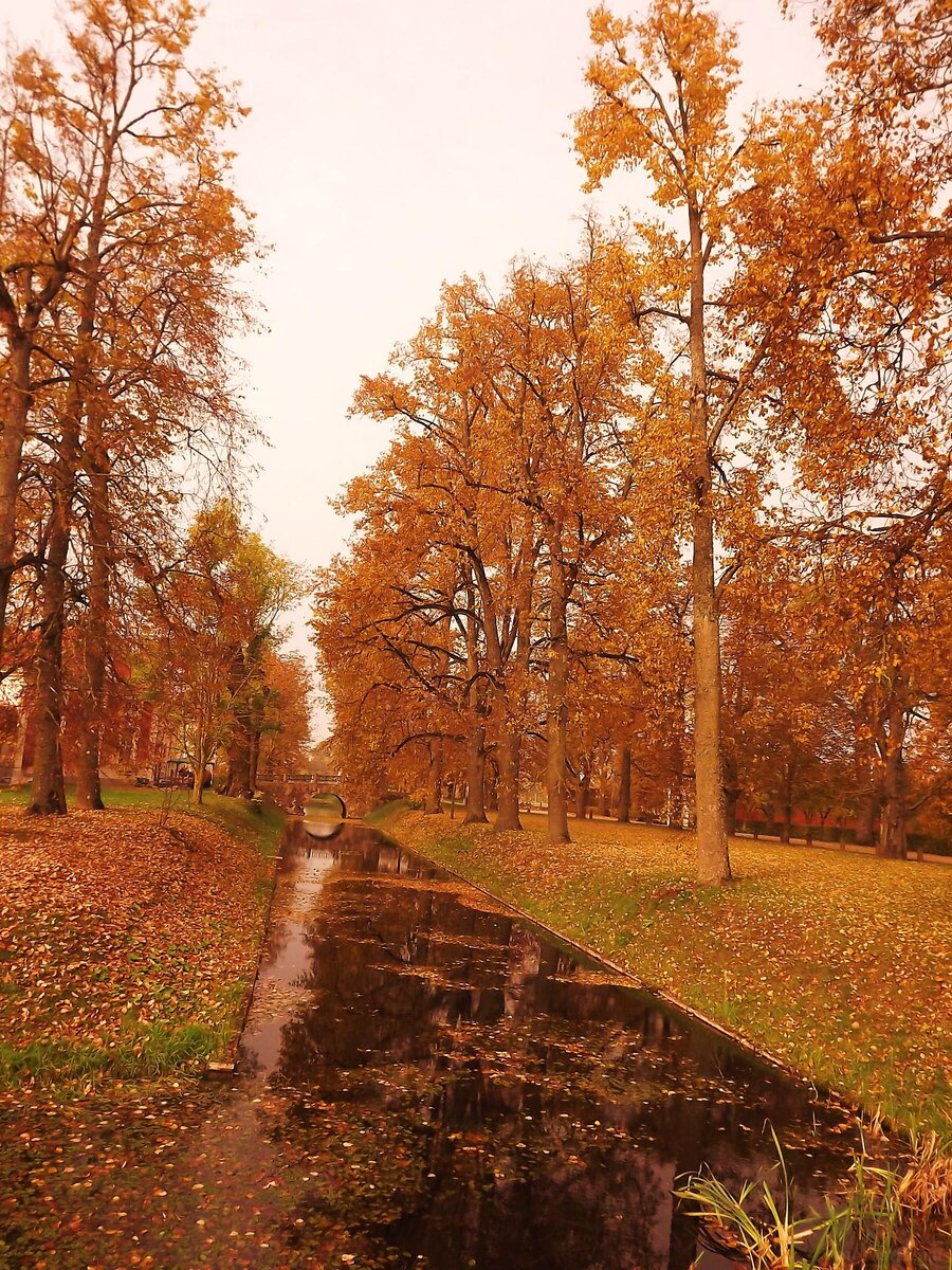 Bauska-_Rundale_068.JPG